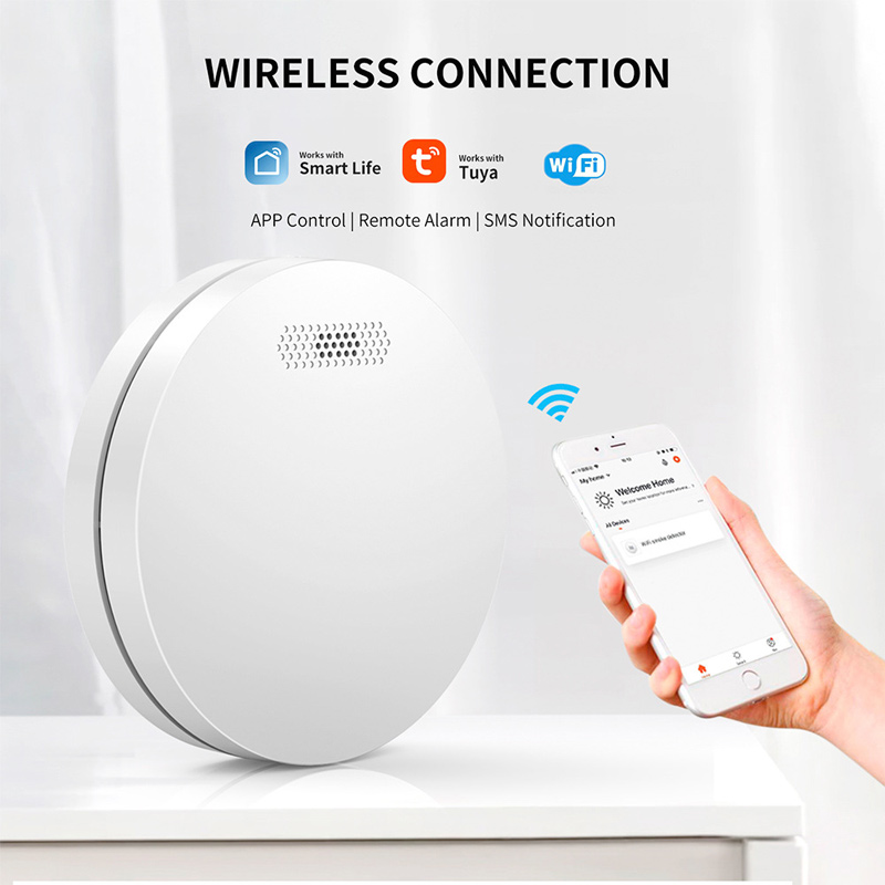 Tuya WiFi Detection Audible an - Smart Smoke Detector のレビューと価格