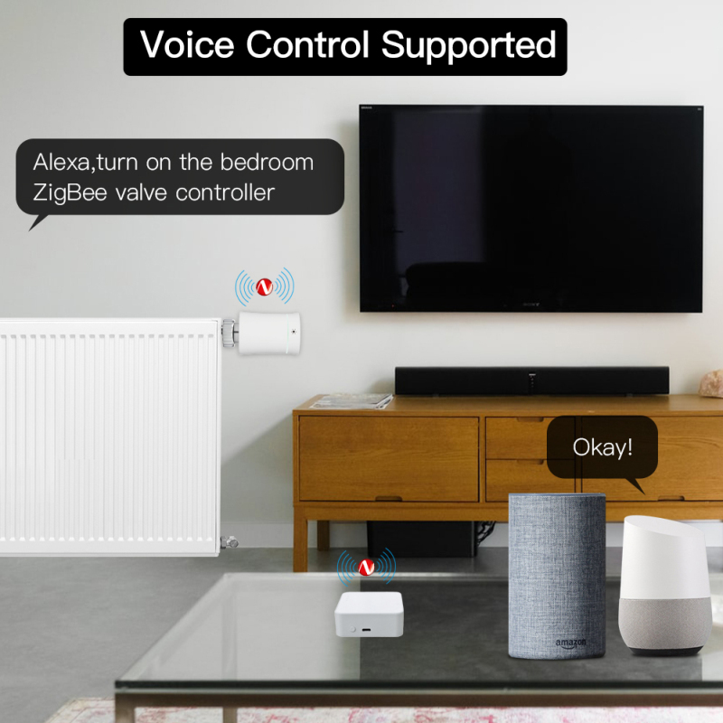Tuya Smart Gateway Hub Multi-m - Smart Home Bridge のレビューと価格