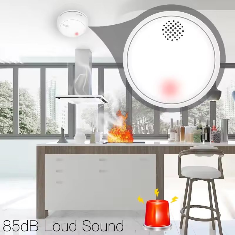 MOES ZigBee Smart Wireless Smo - Smart Home Kitchen のレビューと価格