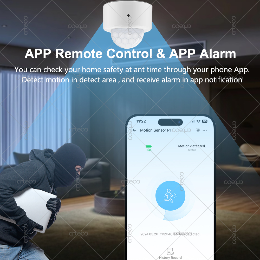Ewelink Zigbee PIR Motion Sens - Smart Home Bridge のレビューと価格