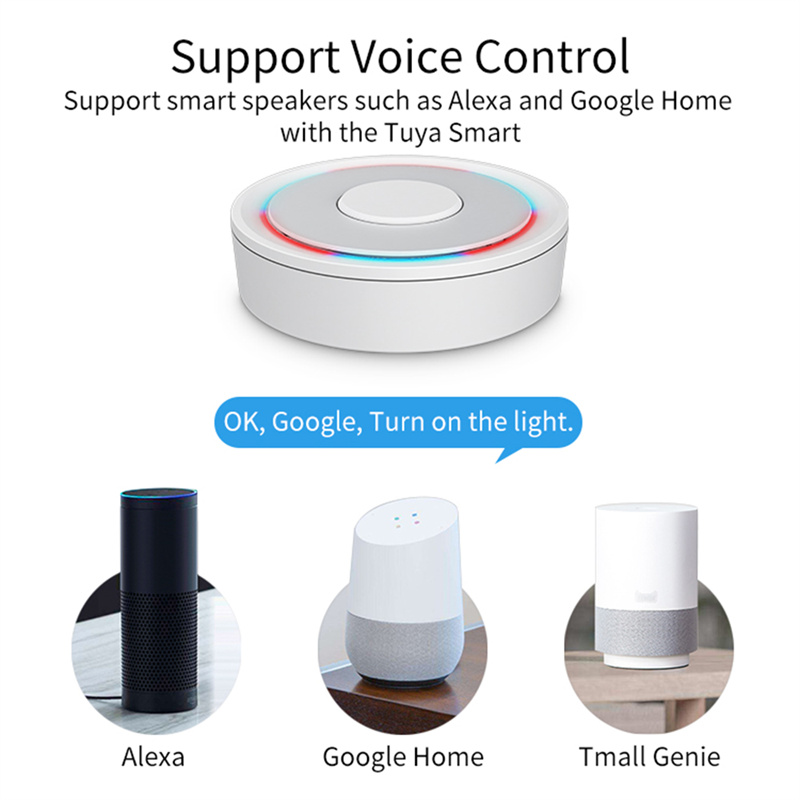 HomeKit ZigBee Gateway Hub Sma - Smart Home Bridge のレビューと価格