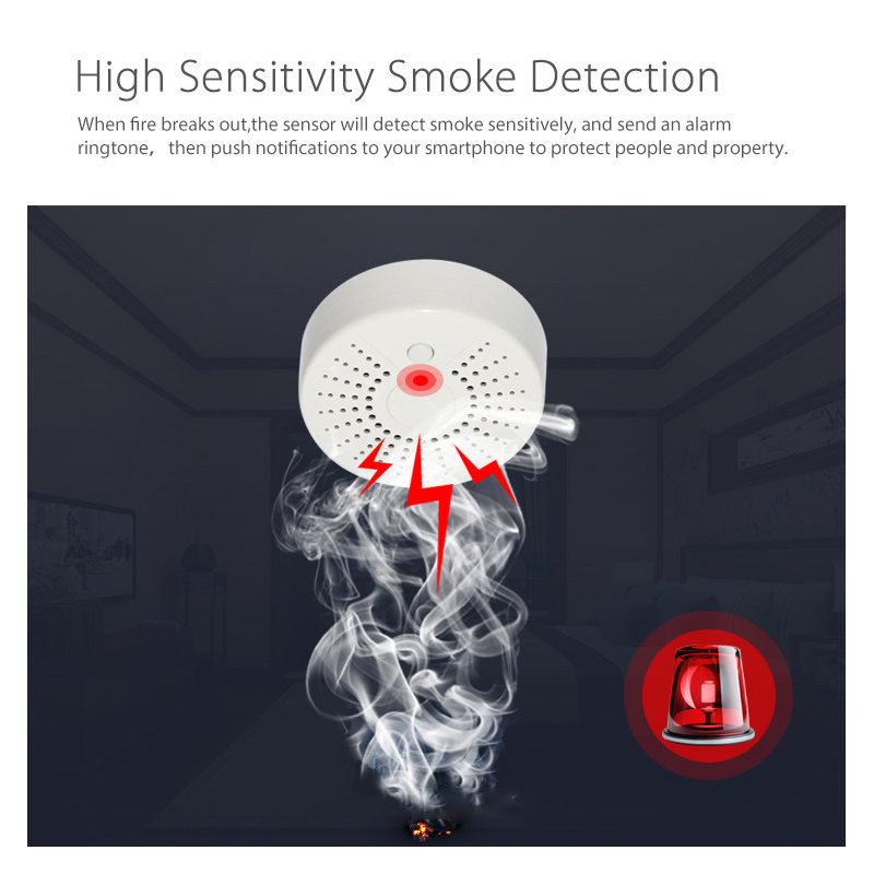 Tuya WiFi Smart Home Smoke Det - Smart Smoke Detector のレビューと価格