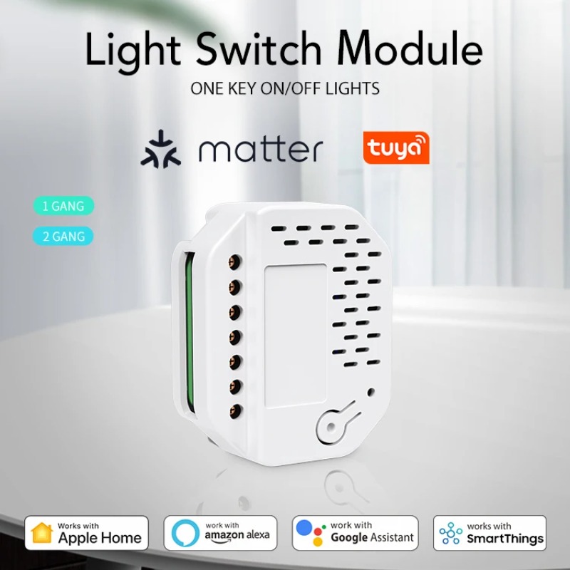Matter Light Switch Module 2Ga - Smart Home Automation のレビューと価格
