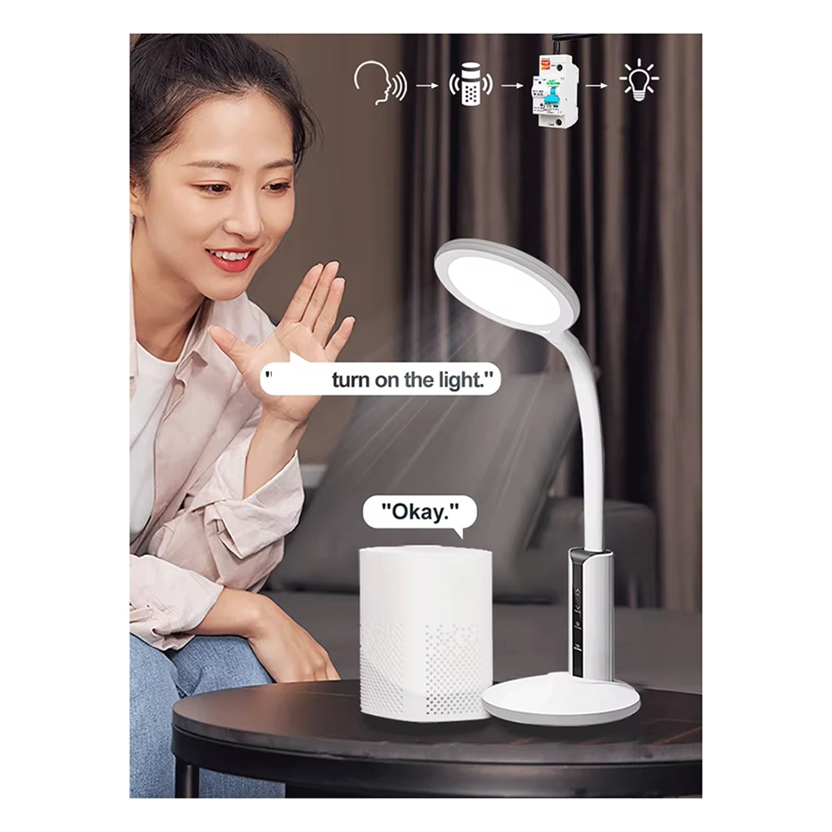 AA98 2P Tuya App Wifi Circuit  - Tuya Smart Switch のレビューと価格