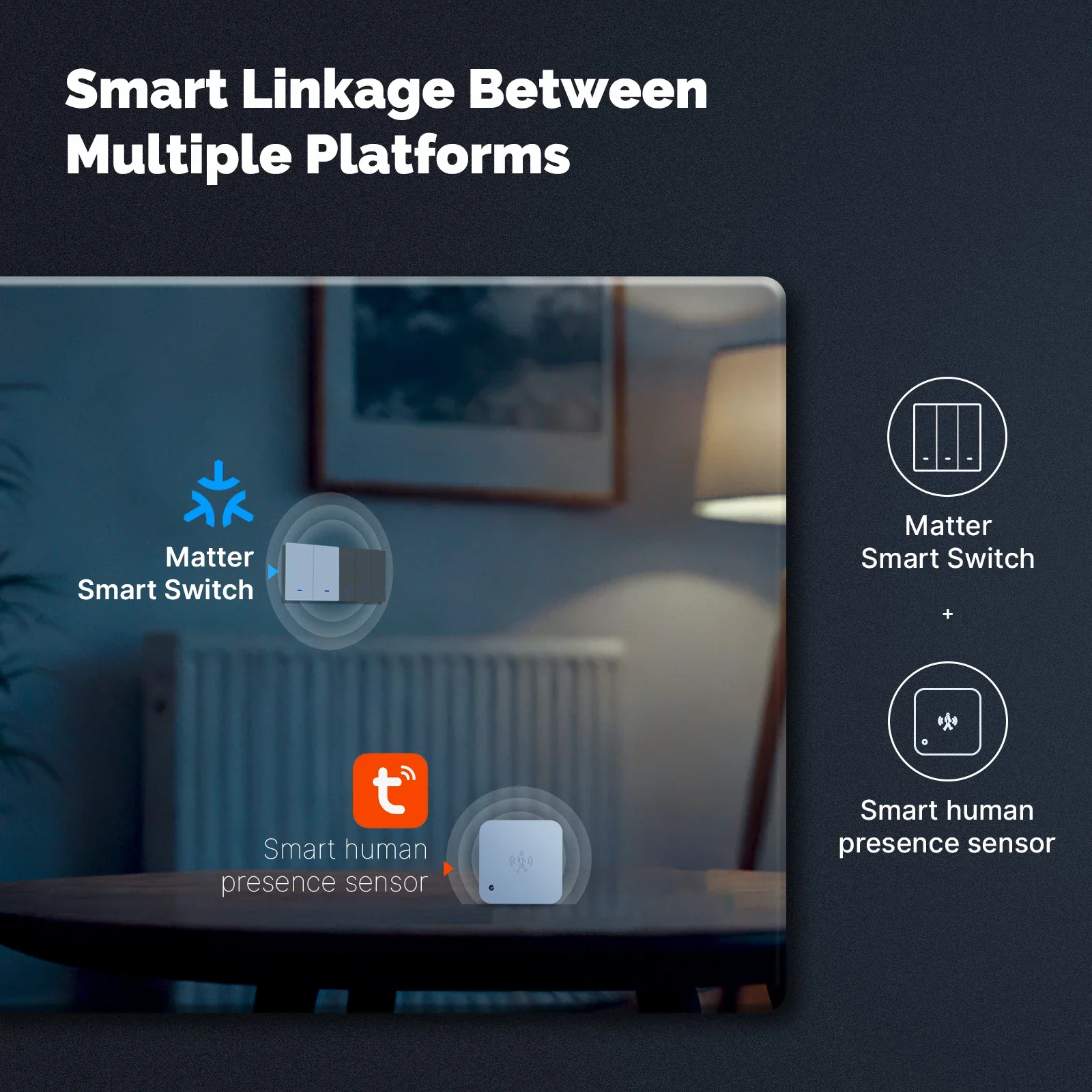 MOES Matter Tuya WiFi Smart Li - Tuya Smart Switch のレビューと価格