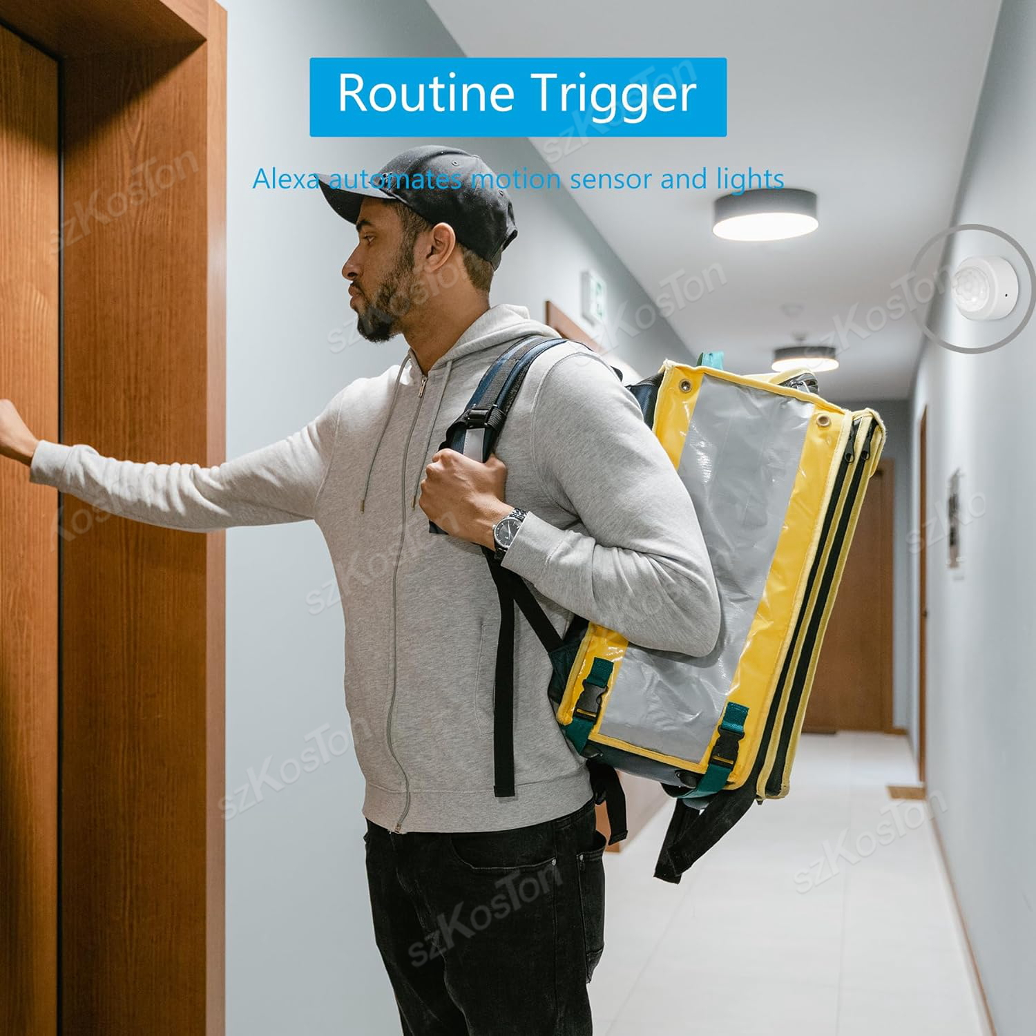 eWelink APP Zigbee Motion Sens - Smart Home Bridge のレビューと価格