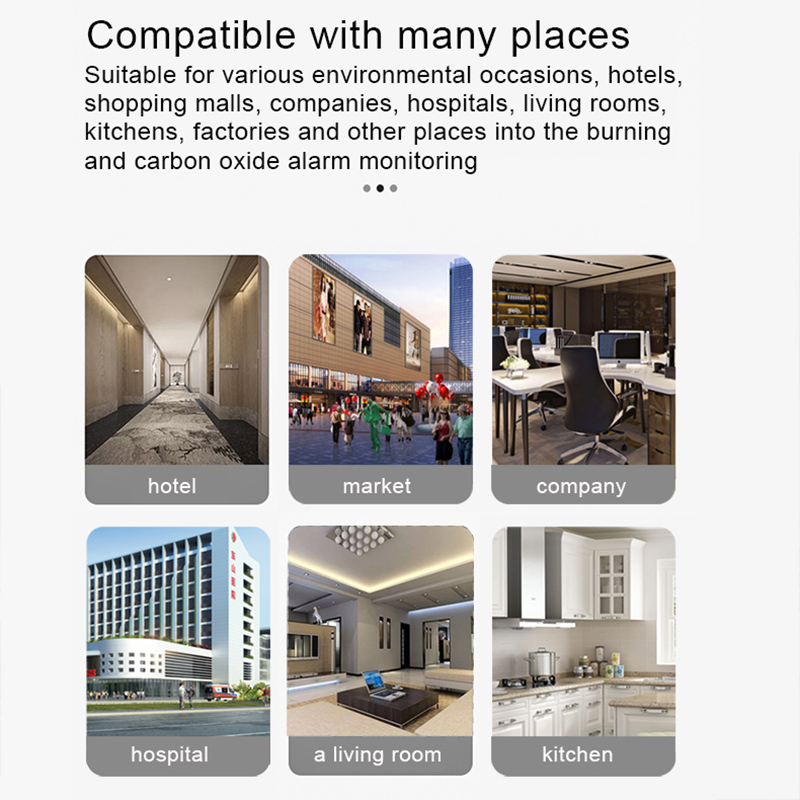 Wifi CH4 Natural Gas Leak Sens - Smart Home Kitchen のレビューと価格